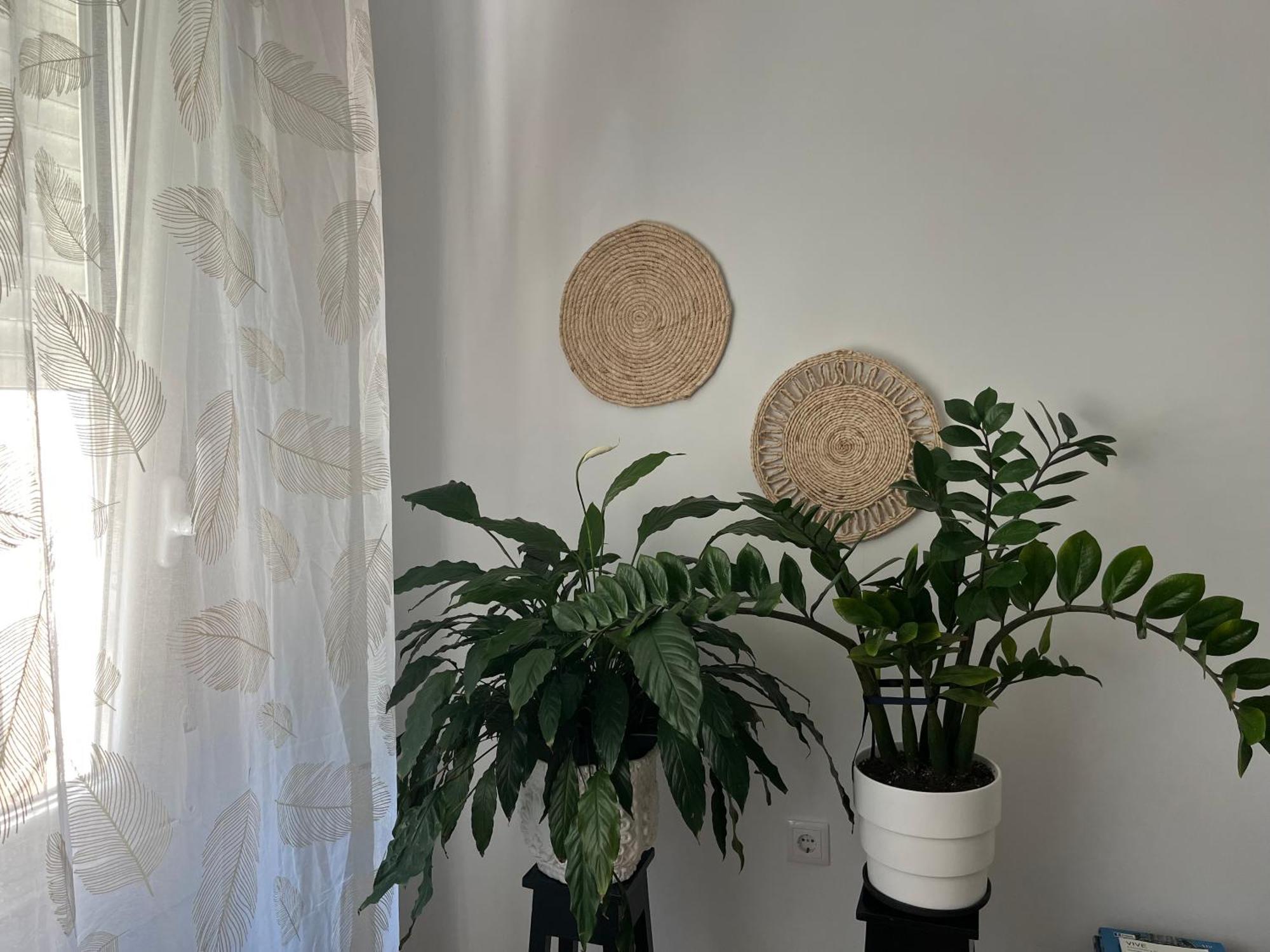 Ferienwohnung Casablanca 95 Vigo Exterior foto
